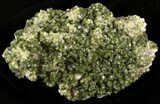 Lustrous, Epidote Crystal Cluster - Morocco #40879-1